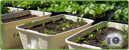 View our GreenSmart Pots Image Gallery